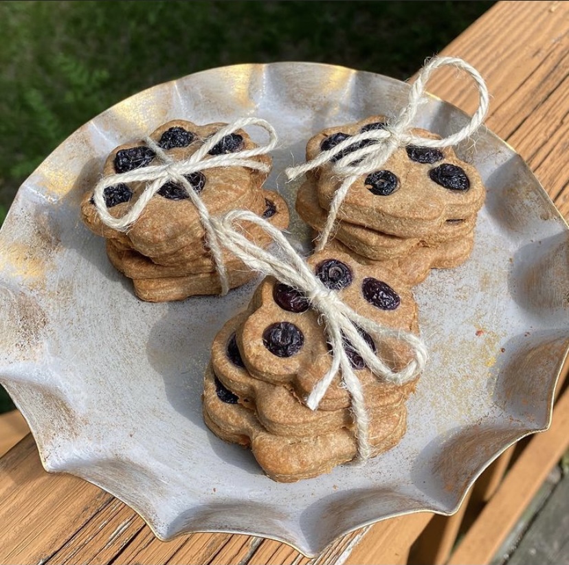 Blueberry Paws 