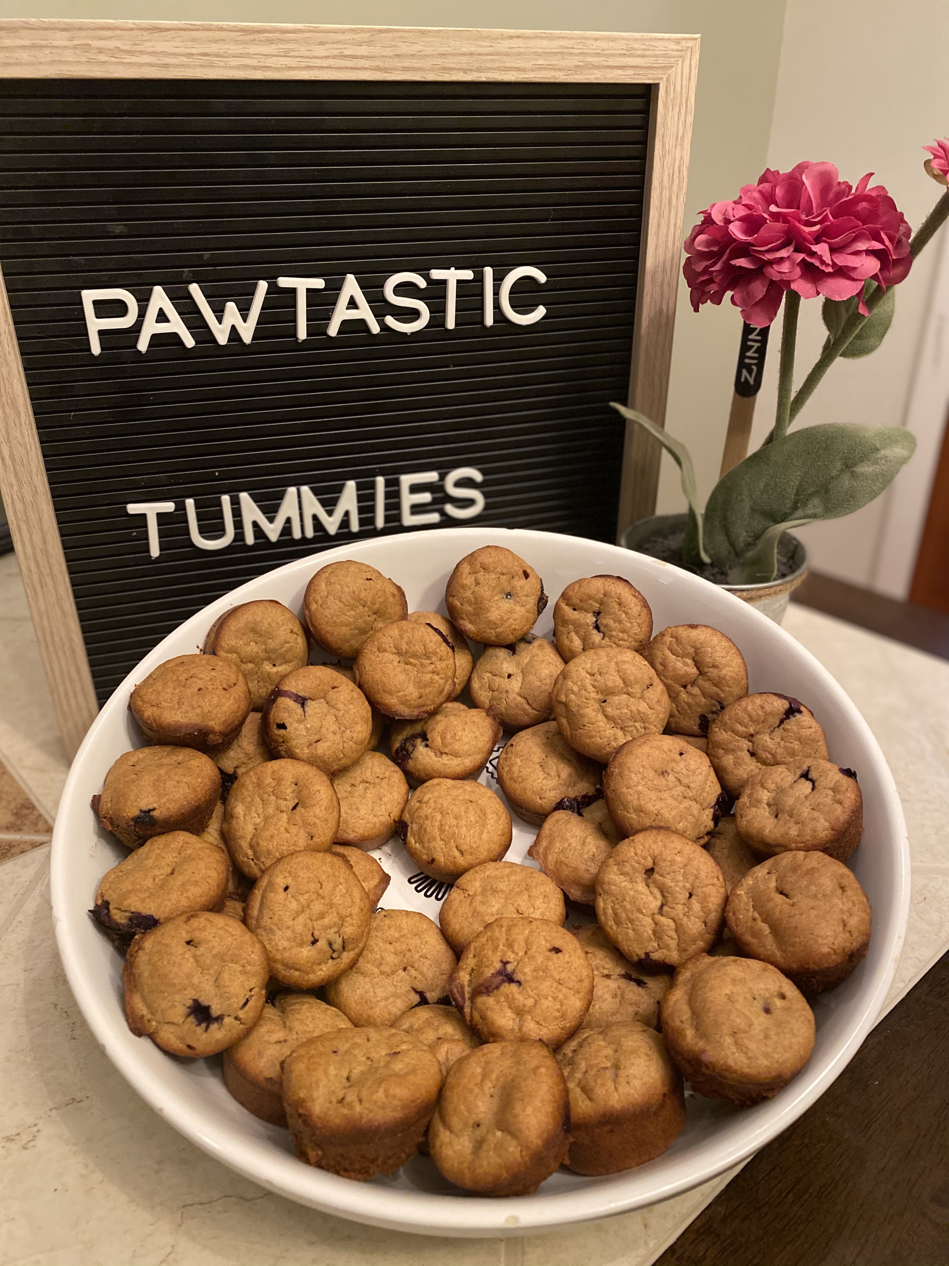 Mini Banana & Blueberry Pupcakes