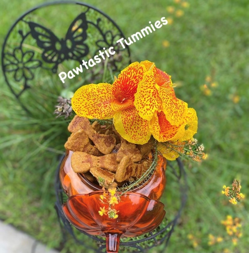 Pumpkin and Molasses Biscuits 